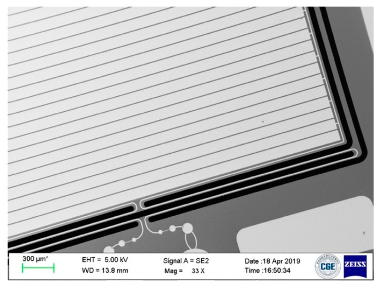ภาพถ่ายกล้องจุลทรรศน์อิเล็กตรอนของโครงสร้าง MEMS accelerometer จริง